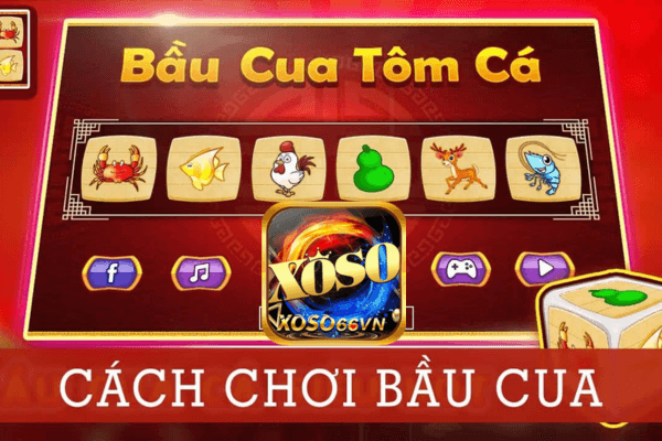 Cách chơi Bầu cua Xoso66